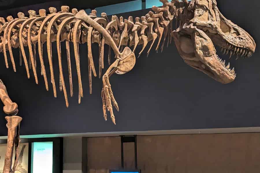 Ab Calgary: Geführte Tagestour durch die Drumheller Badlands. Foto: GetYourGuide