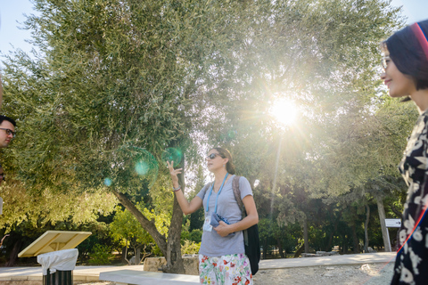 Akropolis: Eintrittskarte und Rundgang mit GuideFranzösische oder deutsche Tour