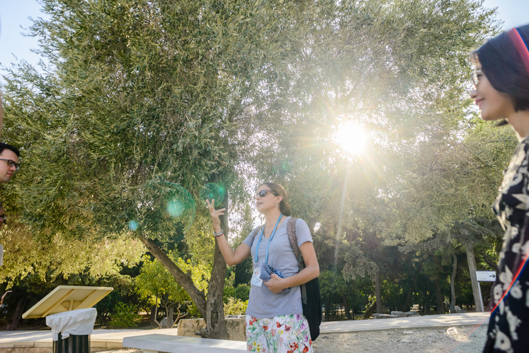 Acropolis: Entrance Ticket and Guided Walking Tour French or German Tour