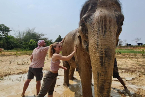 Visite du sanctuaire des éléphants et du temple de Banteay Srey au Cambodge