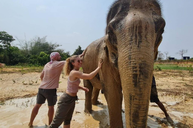 Cambodia Elephant Sanctuary and Banteay Srey Temple Tour