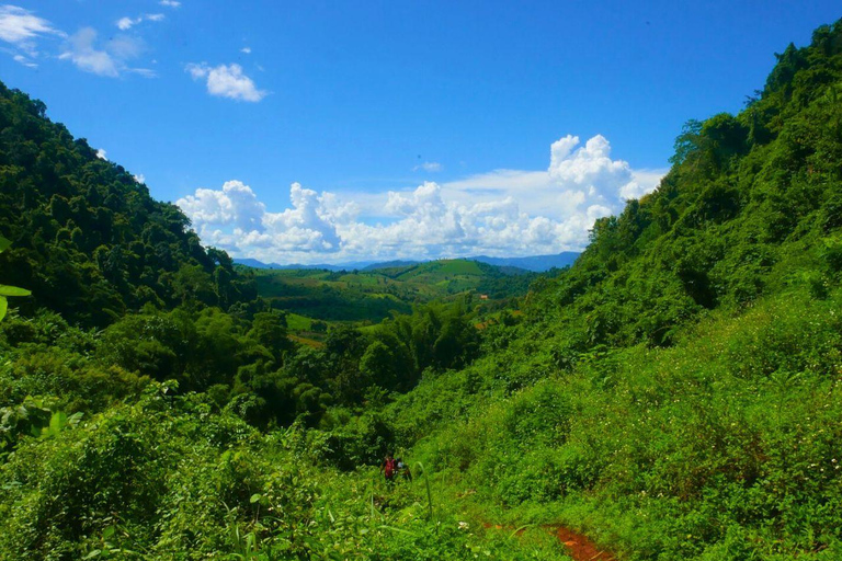 Luang Prabang Mountain Trek to Kuang Si Waterfall with Lunch