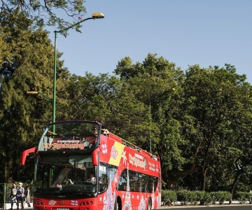 Potsdam: tour en autobús turístico con paradas libres