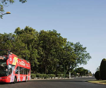 Potsdam: tour en autobús turístico con paradas libres