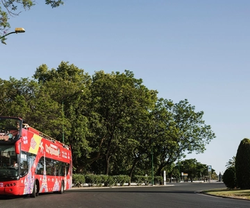 Potsdam: City Sightseeing Hop-On Hop-Off Bus Tour
