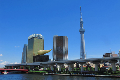 Höhepunkte der Tokyo Private Tour mit einem lizenzierten Führer