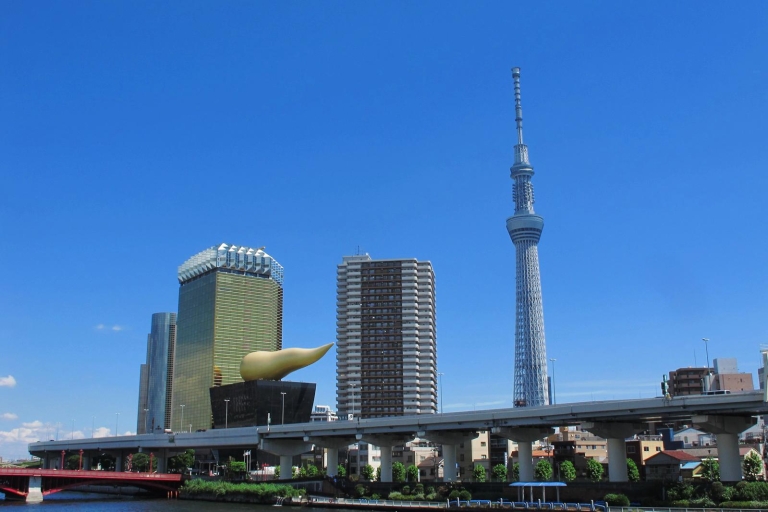 Hoogtepunten van Tokyo Private Tour met een licentie gids