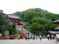 Kamakura, Great Buddha, Hase Temple, & Komachi Street Tour - Hizvo