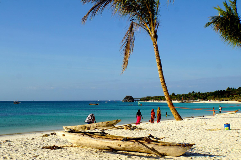 Tanzania: 9-Day Safari and Zanzibar Beach Tour