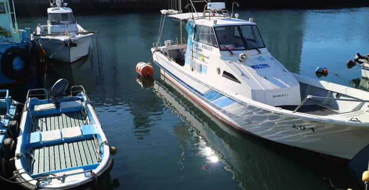 Au départ de La Paz : Circuit privé du lac Titicaca et de Copacabana