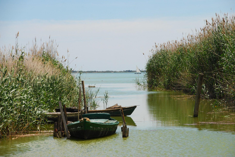 Valencia: Paseo en barco por la Albufera, paella y tour al atardecer incluidos