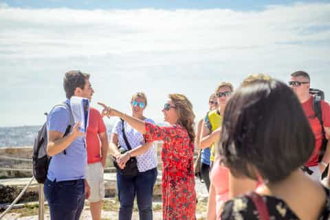 Acropole : visite guidée avec billets d'entrée