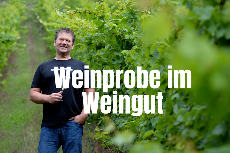 Pommern/Moselle : dégustation de vins chez le vigneronPoméranie/Moselle : dégustation de vin chez le vigneron