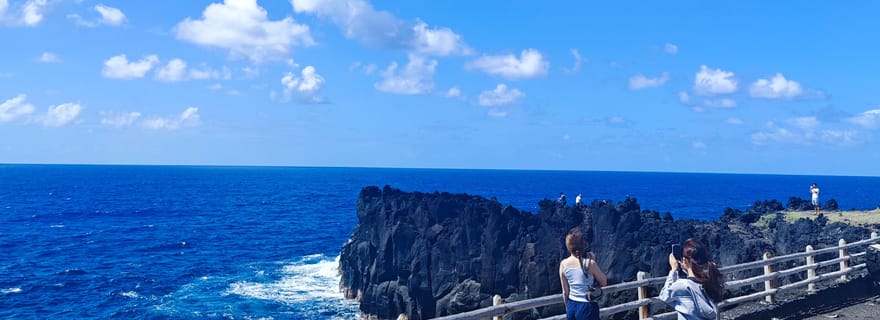 La Réunion : Tour complet de l’île en petit groupe - journée complète