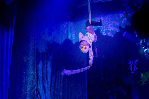 岘港：汉江晚餐游船之旅（含仙沙表演）岘港：汉江晚餐游船之旅，含仙沙表演