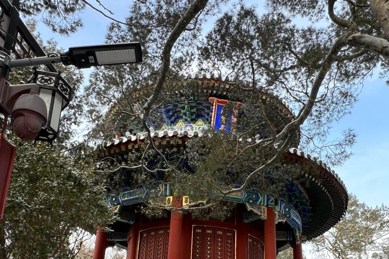 Beijing Jingshan Park Ticket: Full Forbidden City View Beijing: Panda Pavilion Admission Ticket