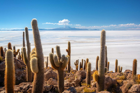 PROGRAM 3 DAYS 2 NIGHTS UYUNI- UYUNI SHARED SERVICE