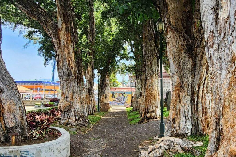 Ciudad Feliz de San José: Cultura y Naturaleza