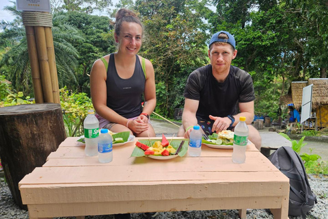 Phuket: City Highlights & Elephant Sanctuary with Lunch