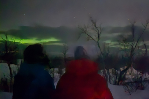 Abisko: Aurora Night & Swedish Glögg - Snowshoe Experience