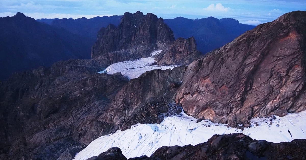 Rwenzori Mountains hike | GetYourGuide