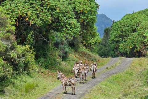 Nairobi: Overnight Adventure in Aberdare National Park