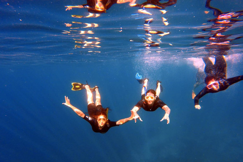 Snorkeltur med upphämtning och guide