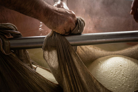 From Milk to Wheels: Parmesan Tour & Tasting in Parma Parmesan Tour in Parma - German