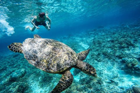 Isole Gili: escursione con snorkeling da Lombok