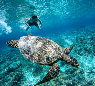 Plongée avec tuba à Lombok