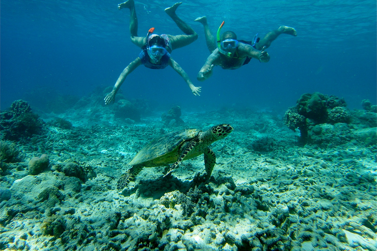 Z Lombok: jednodniowa wycieczka z rurką na wyspy Gili