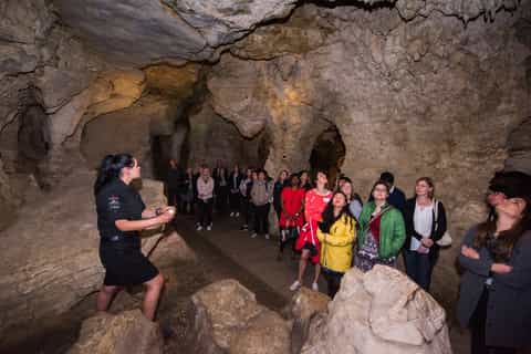Waitomo: Glowworm Caves Guided Tour by Boat