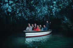 Waitomo: Führung durch die Glühwürmchenhöhlen mit dem Boot