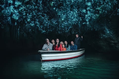 Waitomo: Glowworm Caves Guided Tour by Boat
