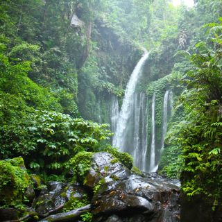 Noord-Lombok: uitstap waterval Sendang Gile & dorp Senaru