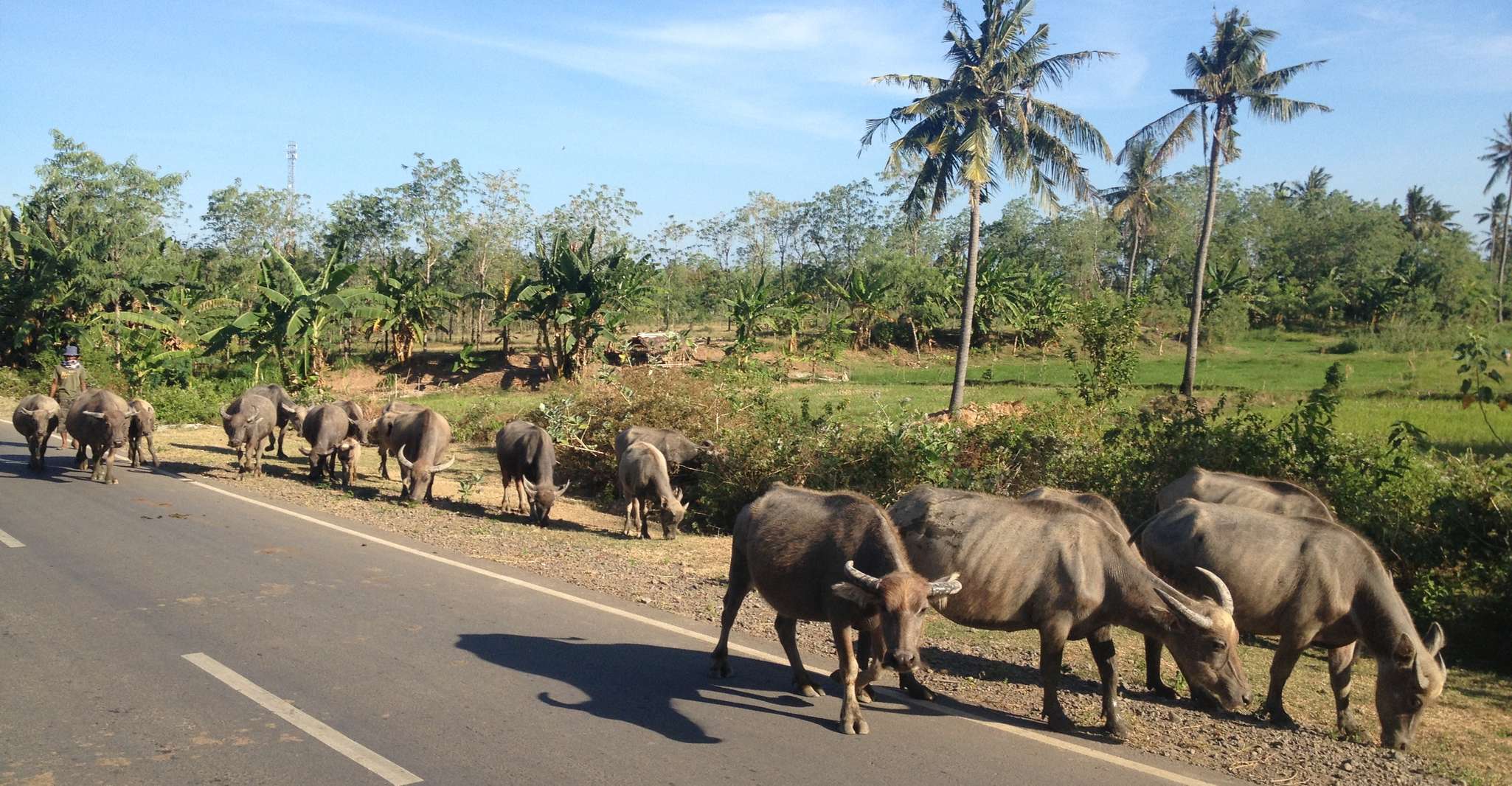 Best of Lombok, Tribe Villages, Traditions & Waterfalls - Housity