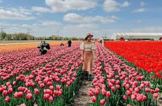 Amsterdam: Besuch einer Tulpenfarm, Keukenhof und Windmühlen-Bootsfahrt