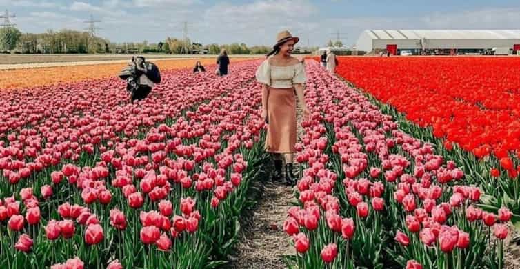 Amsterdam: Tulip Farm Visit, Keukenhof, and Windmill Cruise