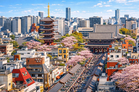 Tokyo: Tsukiji Market + Sensoji Temple: Food & Culture Tour