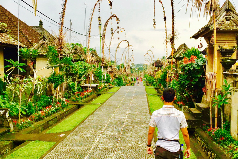 Bali: Balanço com cachoeiras, terraço de arroz e opção de floresta de macacosBalanço na selva, cachoeira e passeio pela vila balinesa