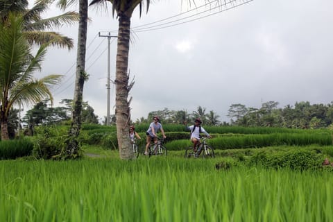 From Ubud: Downhill Bike Tour with Rice Terraces and Meal