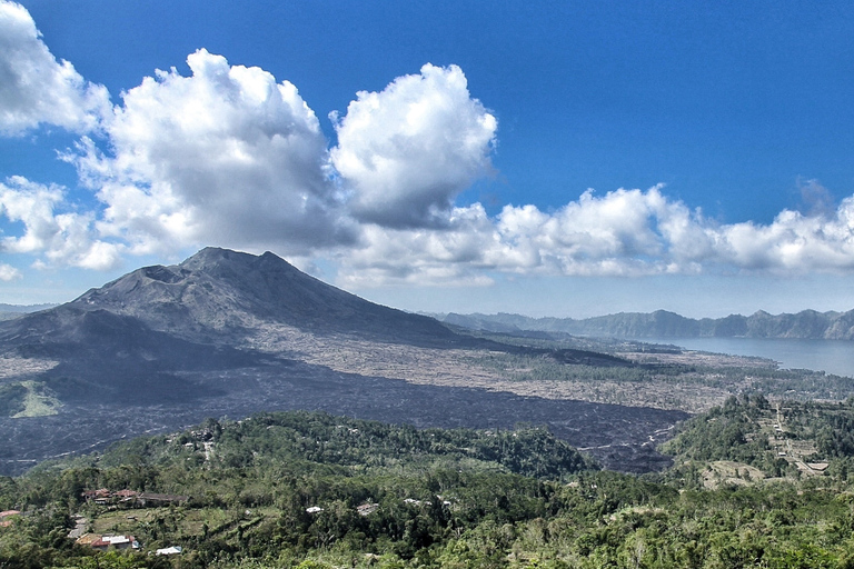 From Ubud: Downhill Bike Tour with Rice Terraces and Meal