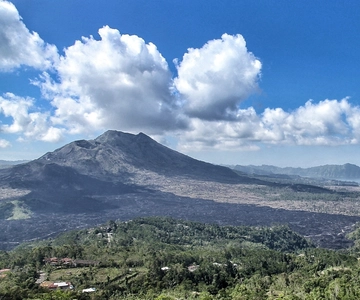 From Ubud: Downhill Bike Tour with Rice Terraces and Meal