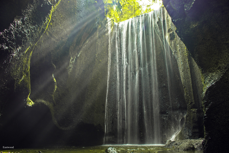 Bali: Balanço com cachoeiras, terraço de arroz e opção de floresta de macacosBalanço na selva, cachoeira e passeio pela vila balinesa