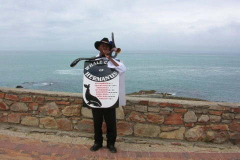 Ab Kapstadt: Tagestour nach HermanusFür Nicht-Einwohner Südafrikas