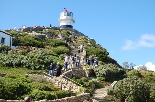 Half Day Cape Point Tour