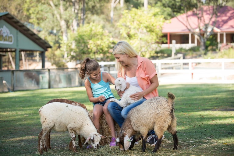 Paradise Country: La mejor experiencia en una granja australianaExperiencia de granja australiana: entrada y almuerzo