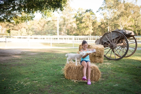 Paradise Country: Das ultimative Aussie Farm ErlebnisAustralische Farm: Eintritt & Mittagessen