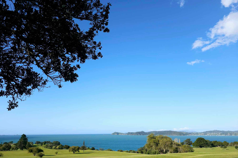 Baia delle Isole - Tour avventura nella natura