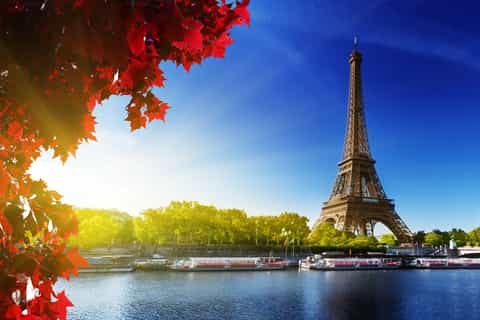 Paris: Lunch Cruise and Sightseeing Bus Tour from London